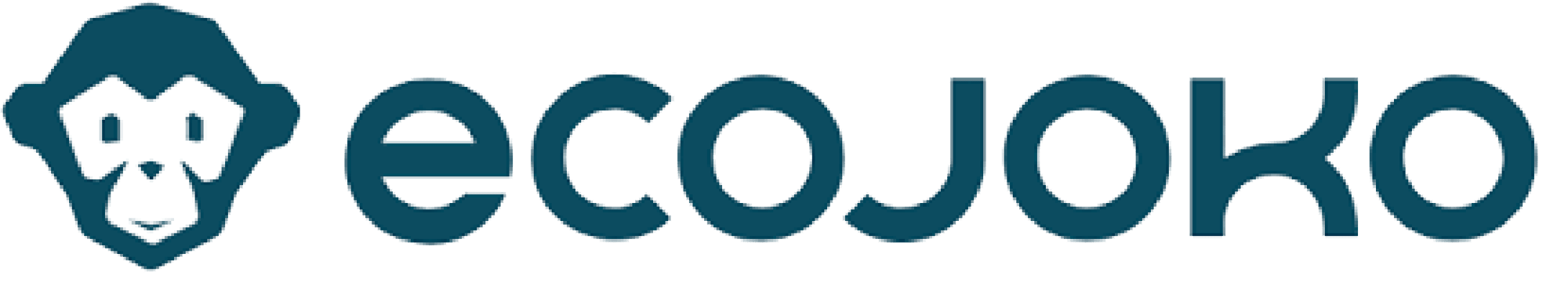 ecojoko-logo sans fond